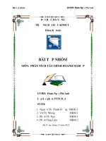 Bài tập nhóm môn Phân tích tài chính doanh nghiệp Phân tích tài chính công ty cổ phần Chế biến gỗ Thuận An - GVHD Đoàn Ngọc Phi Anh