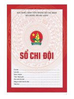 Mẫu sổ chi đội