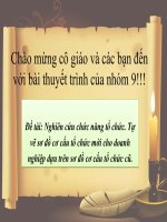 slide thuyết trình nghiên cứu chức năng tổ chức  tự vẽ sơ đồ cơ cấu tổ chức mới cho doanh nghiệp dựa trên sơ đồ cơ cấu tổ chức