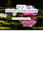 Đề tài hóa học và môi trường   luận văn, đồ án, đề tài tốt nghiệp