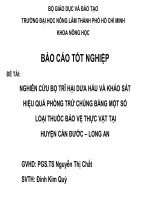 Báo cáo tốt nghiệp Nghiên cứu bọ trĩ hại dưa hấu và khảo sát hiệu quả phòng trừ chúng bằng một số loại thuốc bảo vệ thực vật tại huyện Cần Đước – Long An
