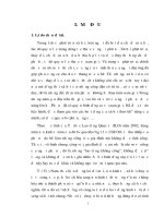 Báo cáo thực tập Phân công lao động theo giới trong gia đình vùng nông thôn thời kỳ công nghiệp hoá hiện đại hoá đất nước - Tăng Tùng Lâm