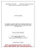 ThS01 161 tác ĐỘNG lạm PHÁT đến TĂNG TRUOG KINH tế và lộ TRÌNH áp DỤNG CHÍNH SÁCH lạm PHÁT mục TIÊU tại VIỆT NAM 