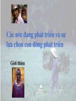 Giáo trình giảng dạy môn Kinh tế phát triển cho Thạc sĩ ( đại học Full right)