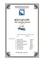 Bài tập lớn Marketing căn bản Dịch vụ gia sư Tương Lai - GVHD. Trần Niên Tuấn