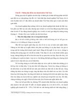 Chủ đề  phân tích những đặc điểm của doanh nhân việt nam marketing management 