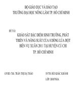 Báo cáo tốt nghiệp Khảo sát đặc điểm sinh trưởng, phát triển và năng suất của 8 dòng lúa đột biến vụ xuân 2011 tại huyện Củ Chi Tp. Hồ Chí Minh