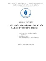 phát triển sản phẩm thẻ ghi nợ nội địa tại bidv pgd linh trung 1