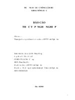 Báo cáo thực tập nghề nghiệp Tham gia học tập và làm việc tạo chi cục BVTV tỉnh Nghệ An