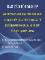 Báo cáo tốt nghiệp Ảnh hưởng của phương pháp tưới nước tiết kiệm đến quần thể cỏ dại, sâu và bệnh hại ở ruộng lúa sạ vụ hè thu năm 2011 tại Tiền Giang