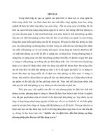 Luận văn nghiên cứu ổn định hóa chất thải phóng xạ bằng phương pháp gốm hóa tạo vật liệu dạng synroc 