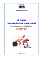 HỆ THỐNG QUẢN TRỊ TỔNG THỂ DOANH NGHIỆP