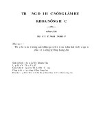 Báo cáo thực tập nghề nghiệp Thực hiện một trong các khâu quản lí sản xuất,thu hái và bảo quản chuối tại Công ty Huy Long An