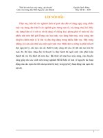 Thiết kế bộ máy di chuyển xe con mang hàng của cầu trục điện ( kèm bản vẽ)