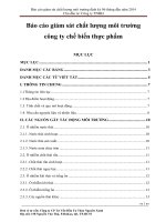 Báo cáo giám sát chất lượng môi trường công ty chế biến thực phẩm