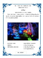 Báo cáo thực tập Mạng lưới cung cấp dịch vụ tại khu du lịch Phong Nha hiện nay Thực trạng và giải pháp (Nghiên cứu trường hợp tại xã Sơn Trạch, huyện Bố Trạch, tỉnh Quảng Bình)