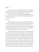 báo cáo tác động của sự thoả mãn trong tiêu dùng đối với hạnh phúc trong cuộc sống 