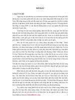 Đề tài Nghiên cứu tiềm năng phát triển du lịch và đề xuất giải pháp du lịch sinh thái bền vững tại xã đảo Cù Lao Chàm, thành phố Hội An, tỉnh Quảng Nam