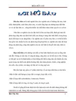 Bài tiểu luận Hóa hữu cơ