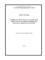 Luận văn nghiên cứu khả năng xử lý nước thải nhiễm thuốc nổ nhóm nitrophenol bằng quá trình quang fenton 