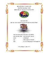 Bài tập lớn Suy giảm tài nguyên rừng ở Hà Tĩnh - ĐH Vinh