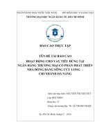 hoạt động cho vay tiêu dùng tại             ngân hàng thương mại cổ phần phát triển nhà đồng bằng sông cửu long  –  chi nhánh đà nẵng 