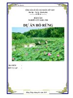 Báo cáo nghiên cứu khả thi Dự án Hồ rừng