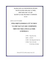 Khóa luận tốt nghiệp Tổng hợp Nanosilica từ vỏ trấu và chế tạo vật liệu Composite trên nền nhựa Polylactide AcidSilica