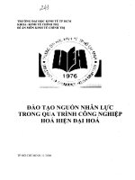 đào tạo nguồn nhân lực trong quá trình công nghiệp hóa hiện đại hóa