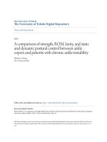 A comparison of strength, ROM, laxity, and static and dynamic postural control between ankle copers and patients with chronic ankle instability