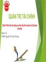 slide thuyết trình phân tích tác động của đòn bấy kinh doanh tại tập đoàn kinh đô