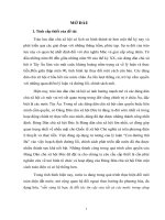 Các lý thuyết mô hình phát triển