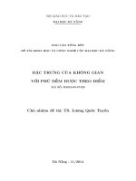 Báo cáo tổng kết đề tài khoa học và công nghệ cấp Đại học Đà Nẵng Đặc trưng của không gian với phủ đếm được theo điểm