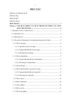 Quản trị rủi ro hệ thống ngân hàng thương mại tại Việt Nam