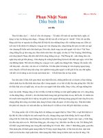 Dấu binh lửa - Phan Nhật Nam
