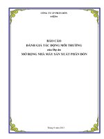 Báo cáo đánh giá tác động môi trường của dự án mở rộng nhà máy sản xuất phân bón