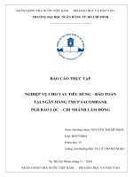nghiệp vụ cho vay tiêu dùng   bảo toàn tại ngân hàng tmcp sacombank pgd bảo lộc   chi nhánh lâm đồng 