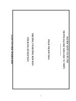 Luận văn trường vô hướng hấp dẫn với hằng số hấp dẫn vũ trụ 