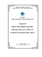 Chuyên đề Phân tích nhóm chỉ tiêu thanh toán của Công ty Cổ phần Tập đoàn Hòa Phát