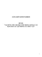 Sáng kiến kinh nghiệm SKKN môn hóa học THCS  tạo hứng thú học hóa học cho học sinh bằng thí nghiệm vui 