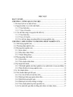 đề tài “ đánh giá hiệu quả của phương pháp nhĩ châm trong điều trị bệnh suy nhược thần kinh thể tâm tỳ hư