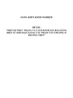 Sáng kiến kinh nghiệm SKKN về thực trạng và cách đánh giá bài giảng điện tử khi soạn giảng tác phẩm văn chương ở trường THPT 