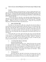 Lý giải văn hoá Phật giáo tại Việt Nam lan rộng về khắp các làng xã.