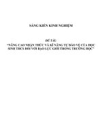 Sáng kiến kinh nghiệm SKKN nâng cao nhận thức và kĩ năng tự bảo vệ của học sinh THCS đối với bạo lực giới trong trường học 