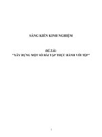 Sáng kiến kinh nghiệm tin học THPT xây dựng một số bài tập thực hành với tệp 