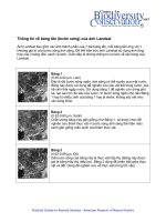V landsat spectral band information 