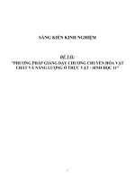 Sáng kiến kinh nghiệm SKKN phương pháp giảng dạy chương chuyển hóa vật chất và năng lượng ở thực vật   sinh học 11 