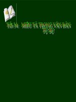 bài giảng ngữ văn lớp 9 tiet 34  miêu tả trong văn bản tự sự 