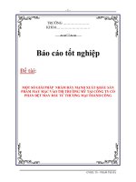 Một số giải pháp nhằm đẩy mạnh xuất khẩu sản phẩm may mặc vào thị trường Mỹ tại Công ty Cổ phần Dệt May Đầu tư Thương mại Thành Công - TS. Phạm Thị Hà