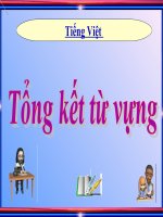 bài giảng ngữ văn lớp 9 tong ket tu vung tat ca cac tiet 